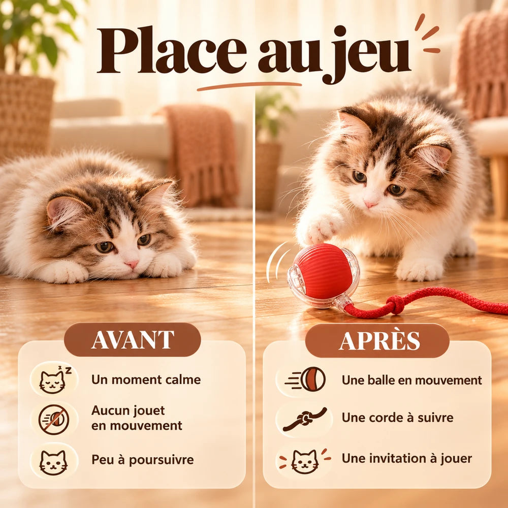 1+1 OFFERT · AUJOURD'HUI · WhirlPaw™ · Balle interactive pour animaux