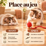 1+1 OFFERT · AUJOURD'HUI · WhirlPaw™ · Balle interactive pour animaux