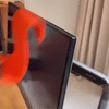 1+1 OFFERT · AUJOURD'HUI · OmniStand™ · Support pliable en silicone