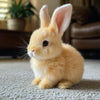 -50 % · OFFRE LIMITÉE · BunnyBot™ · Un compagnon tout doux qui prend vie !