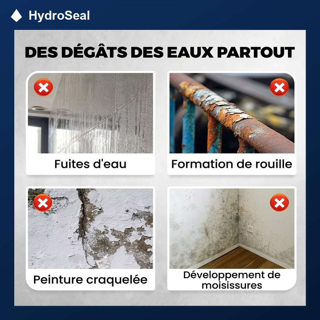 Degats des eaux partout, fuites, rouille, peinture craquelee et moisissures