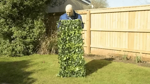 JardinMur Verdure Facile