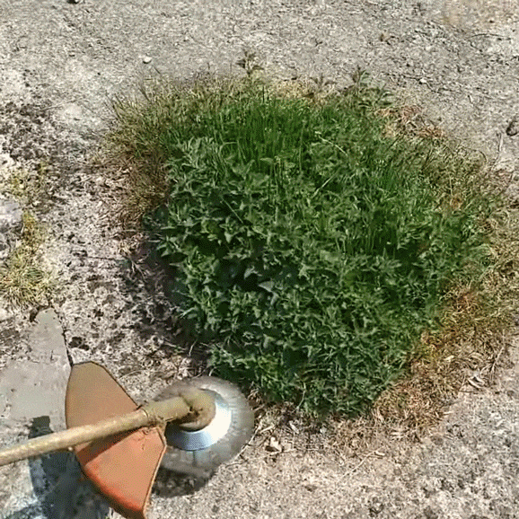 -50 % · OFFRE LIMITÉE · GrassGuard™ · Désherbez en un rien de temps !