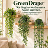 GreenDrape™ · Plantes retombantes au réalisme naturel