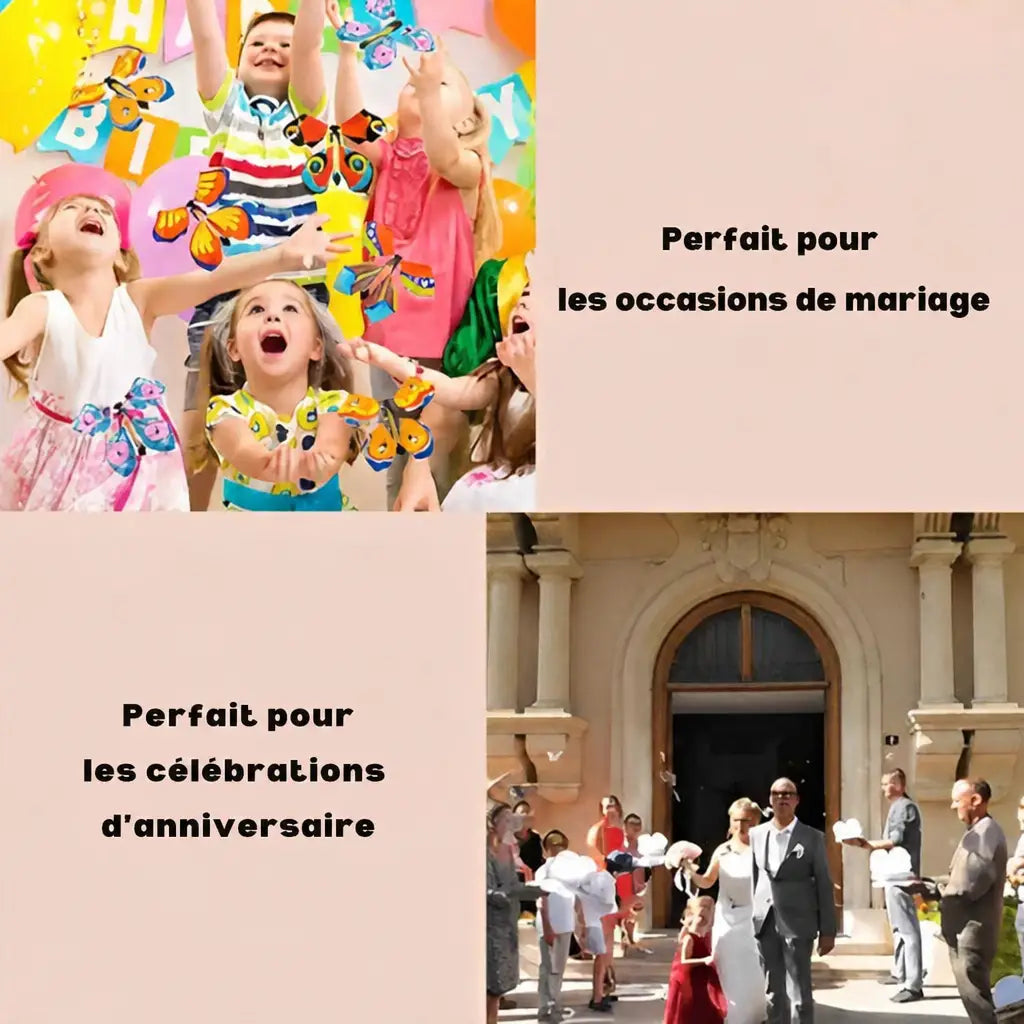 1+1 OFFERT · AUJOURD'HUI · FlyButterfly™
