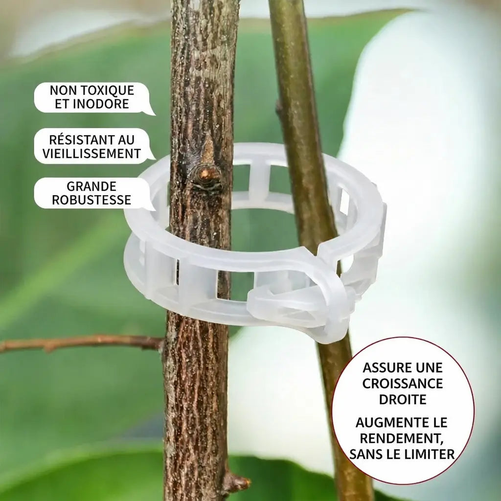 3+1 OFFERT · AUJOURD'HUI · StemHold™ · Clips pour plantes