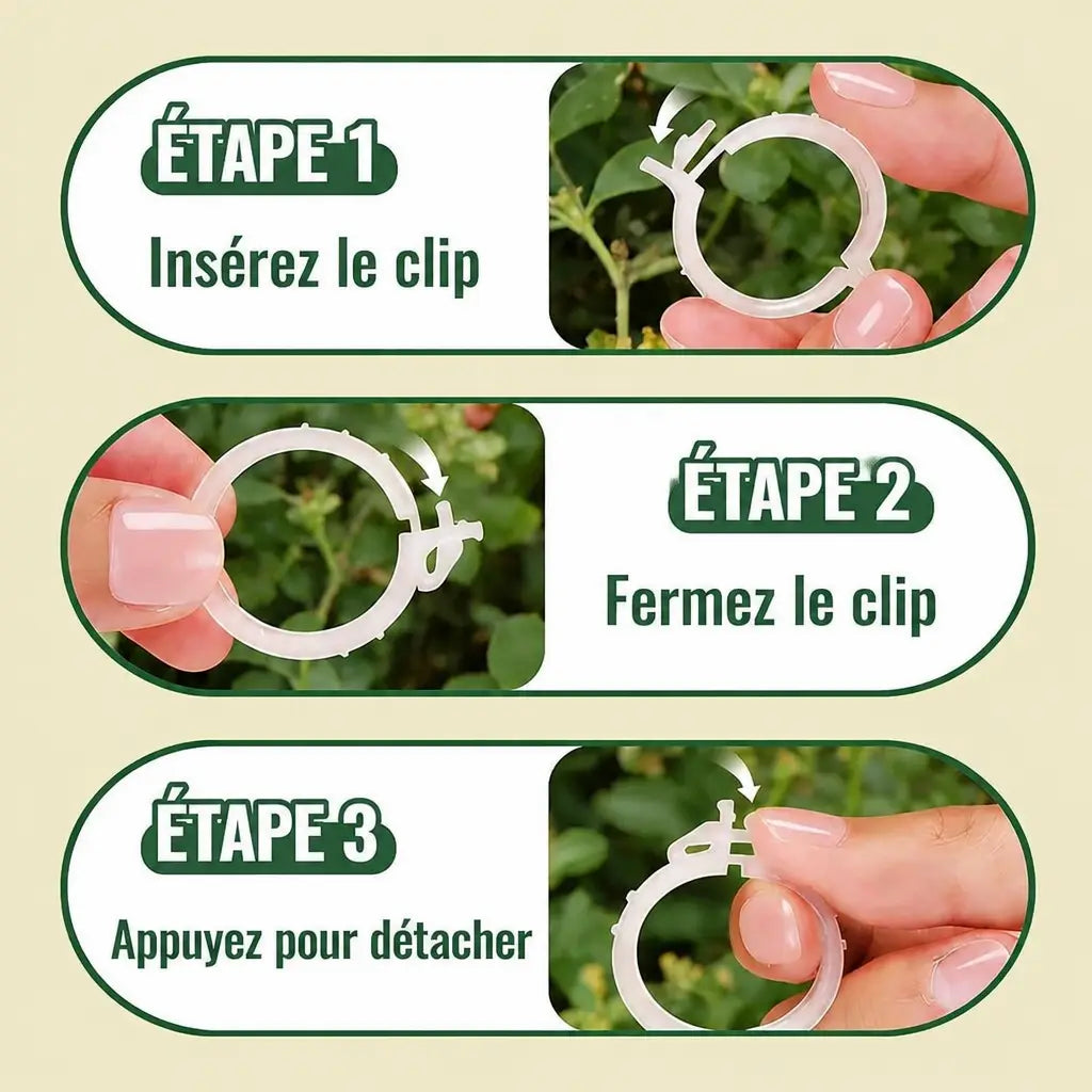 3+1 OFFERT · AUJOURD'HUI · StemHold™ · Clips pour plantes
