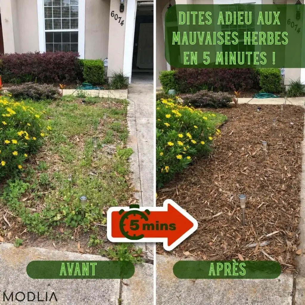 WeedBuster avant après 5 minutes