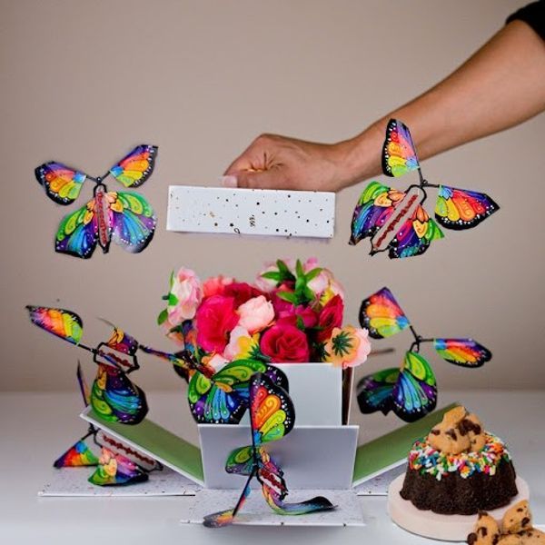 1+1 OFFERT · AUJOURD'HUI · FlyButterfly™ · Surprise Volante