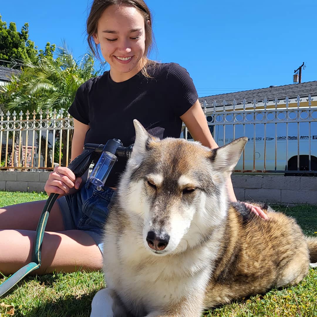 50% DE REMISE TEMPORAIRE | JetPaws™ | Pistolet de douche pour chien à haute pression