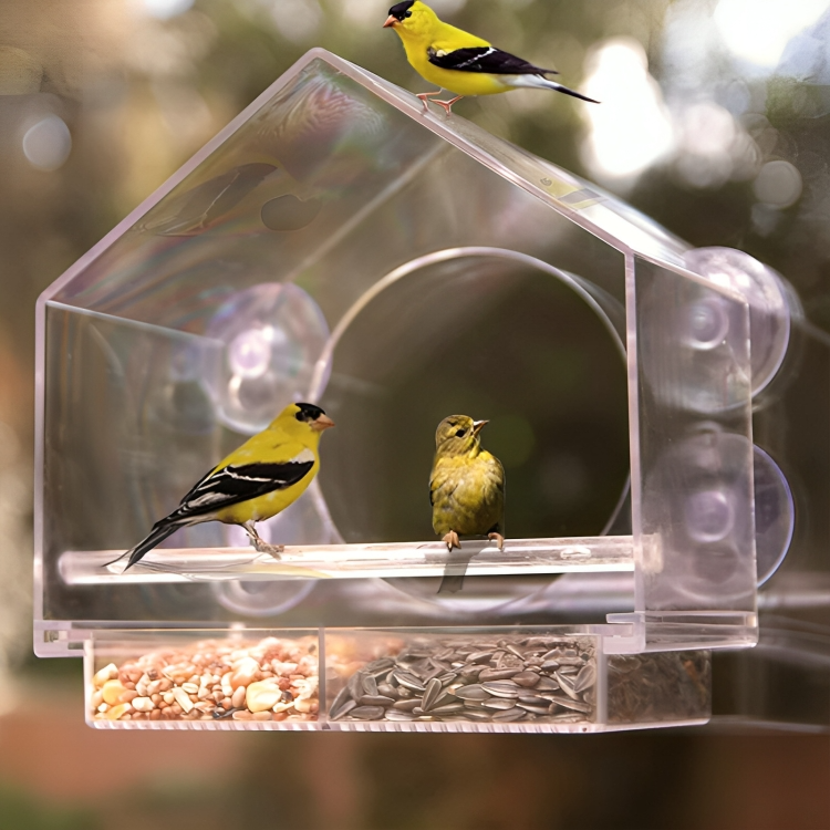 50 % DE REMISE TEMPORAIRE | PerchView™ | Transformez votre fenêtre en une réserve naturelle personnelle pour les oiseaux !