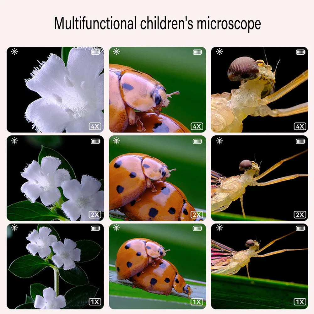 50 % DE RABAIS TEMPORAIRE | MicroExplorer™ | Microscope numérique à main