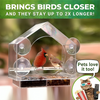 50 % DE REMISE TEMPORAIRE | PerchView™ | Transformez votre fenêtre en une réserve naturelle personnelle pour les oiseaux !
