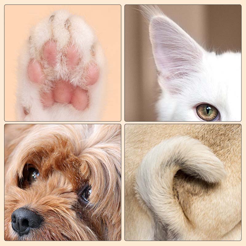 1 + 1 GRATUIT AUJOURD'HUI | TidyPaws™ | Tondeuse à cheveux pour animaux LED Pro