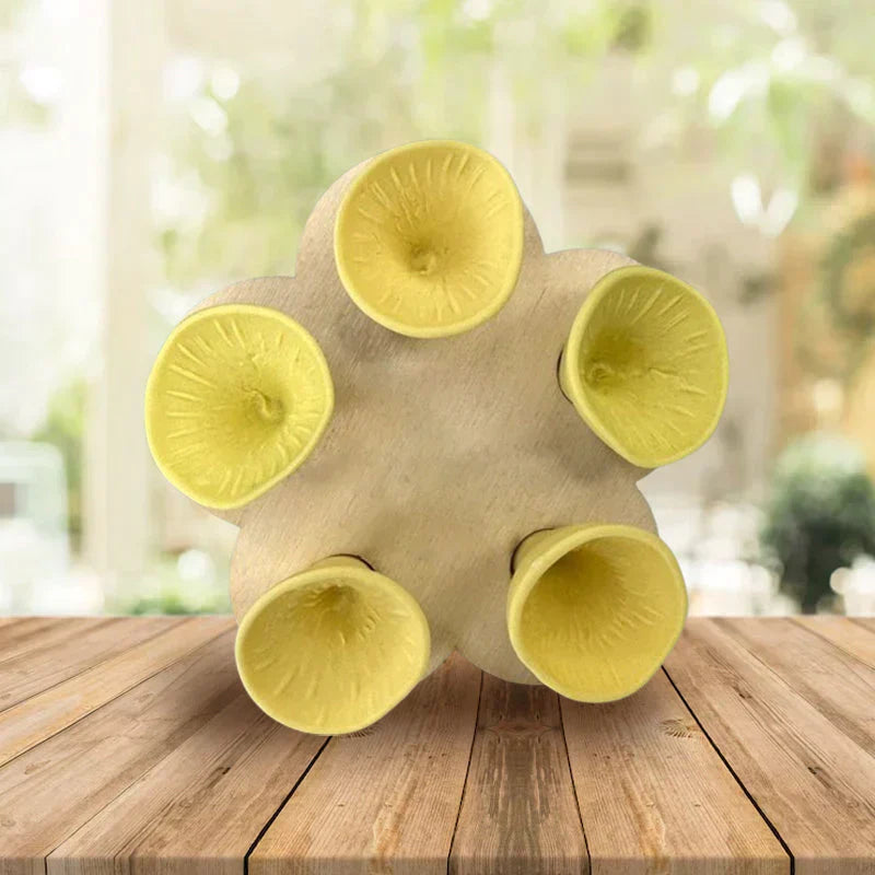 -50 % · OFFRE LIMITÉE · BeeQuench™ · Lot de 5 coupelles d'abreuvement pour abeilles