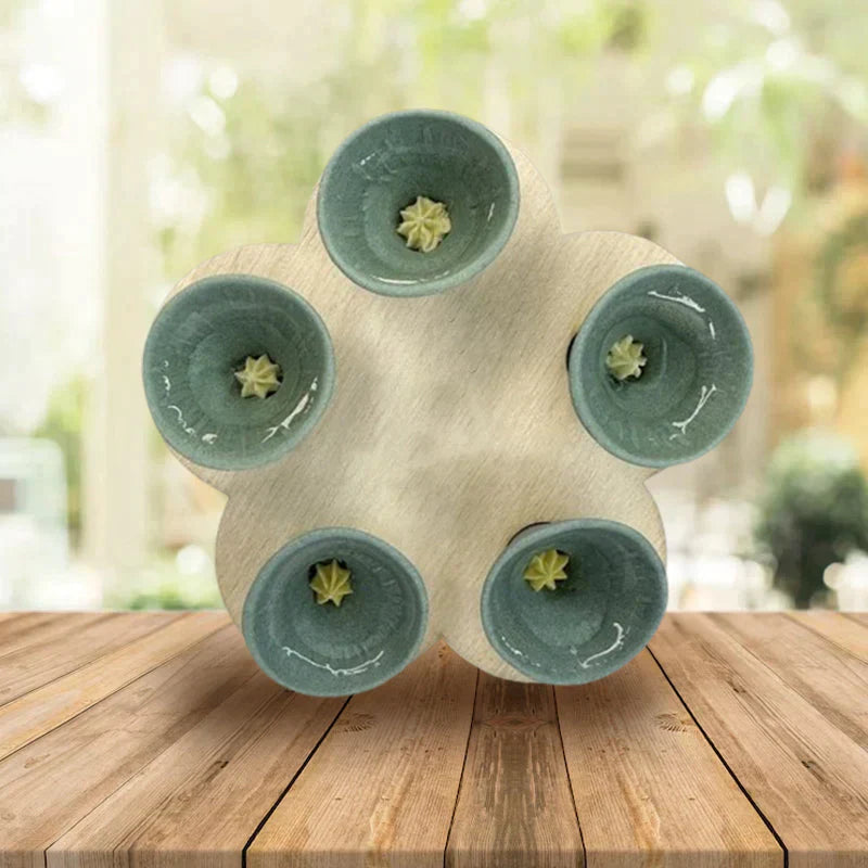 -50 % · OFFRE LIMITÉE · BeeQuench™ · Lot de 5 coupelles d'abreuvement pour abeilles