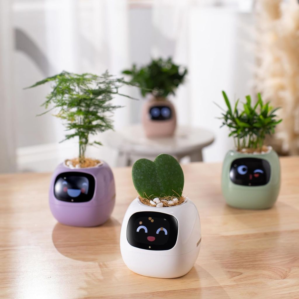50 % DE RÉDUCTION TEMPORAIRE | BloomBot™ | Pot de plante intelligent