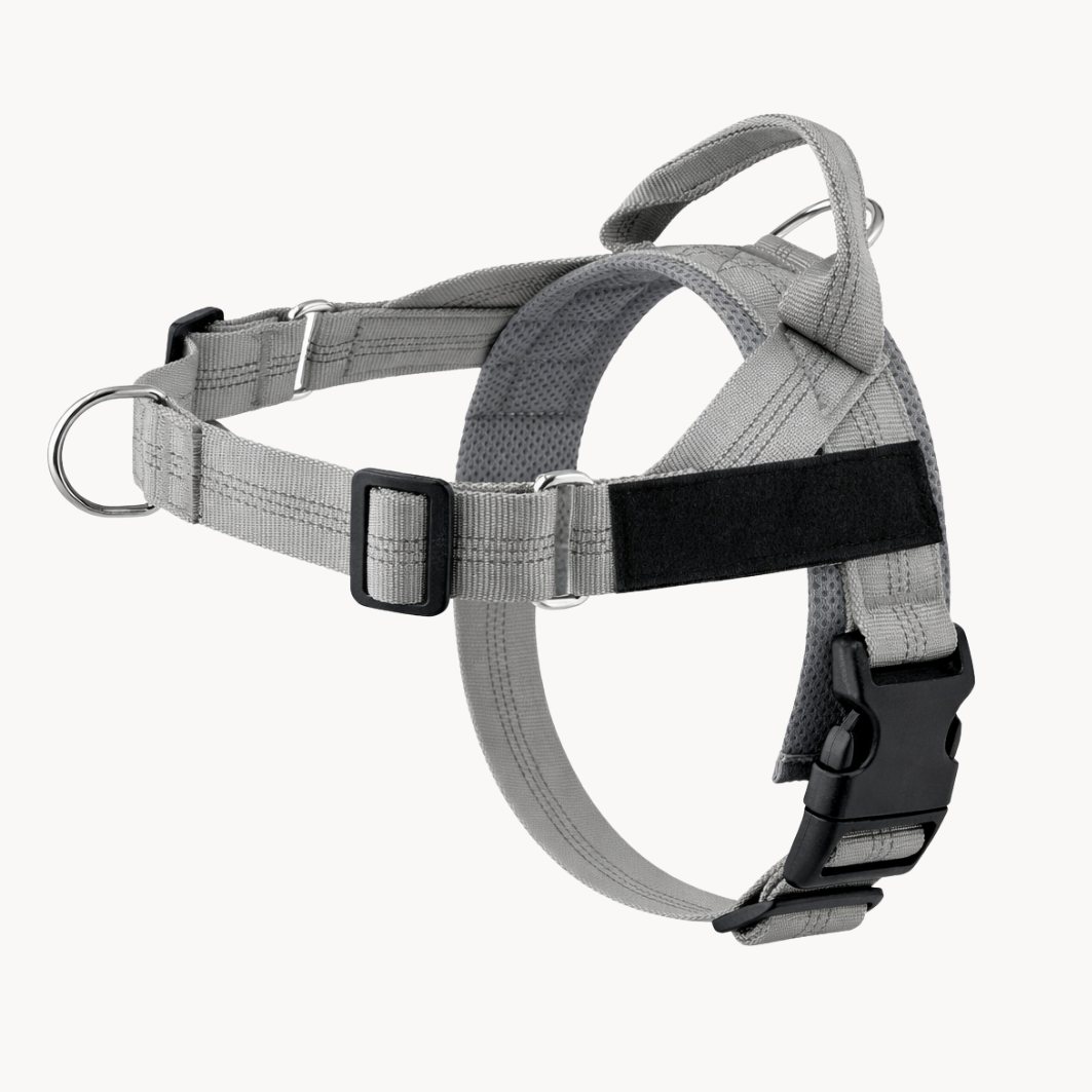50 % DE REMISE TEMPORAIRE | NoTug™ - Harnais anti-traction