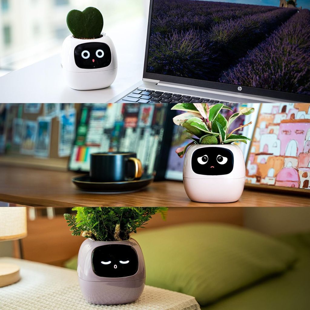 50 % DE RÉDUCTION TEMPORAIRE | BloomBot™ | Pot de plante intelligent