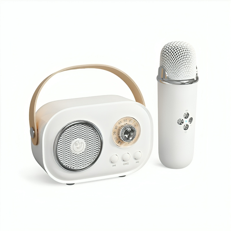 50% DE RÉDUCTION TEMPORAIRE | EchoJam™ | Machine à karaoké portable