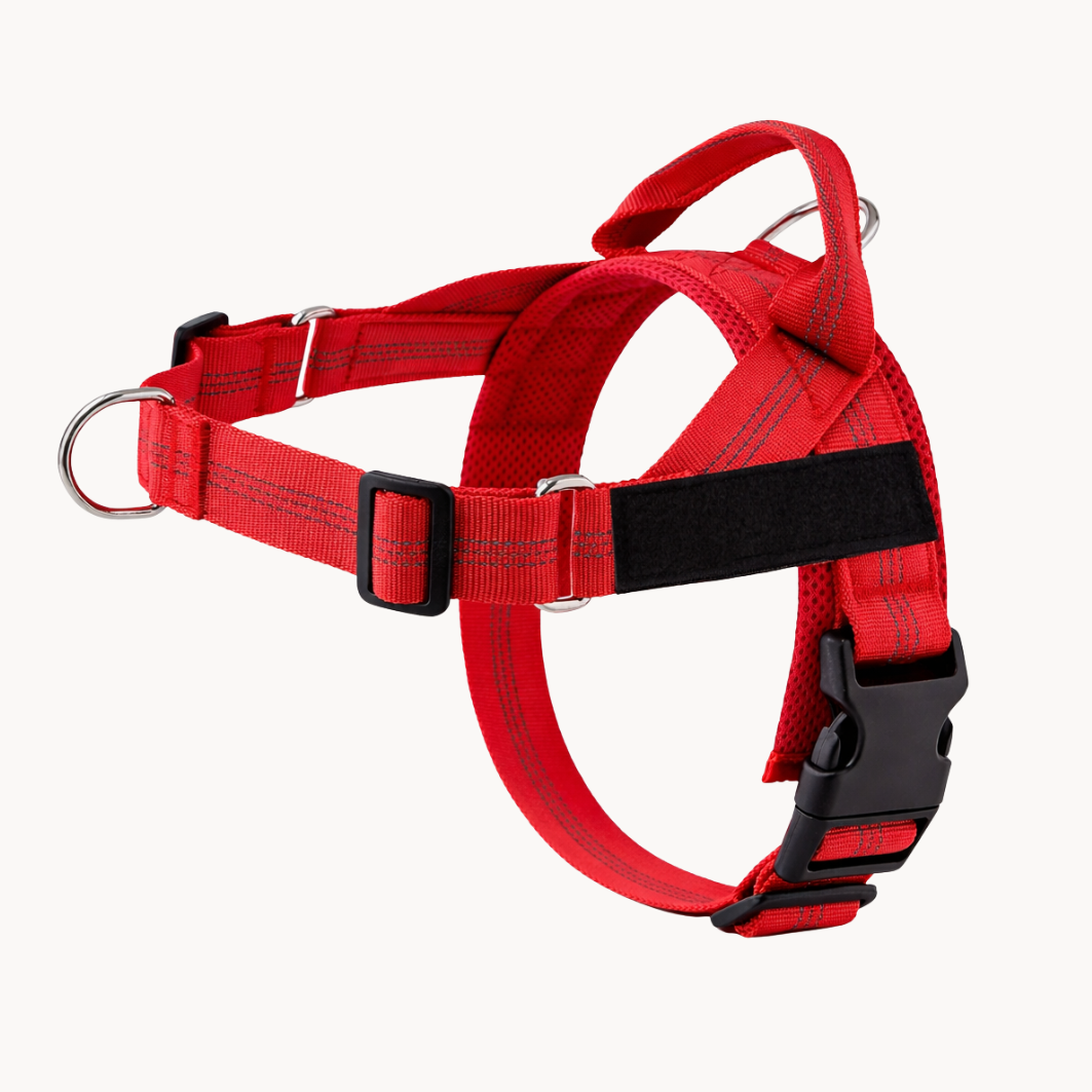 50 % DE REMISE TEMPORAIRE | NoTug™ - Harnais anti-traction