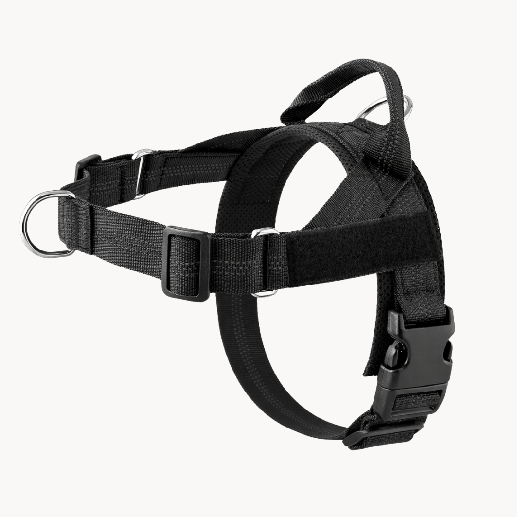 50 % DE REMISE TEMPORAIRE | NoTug™ - Harnais anti-traction