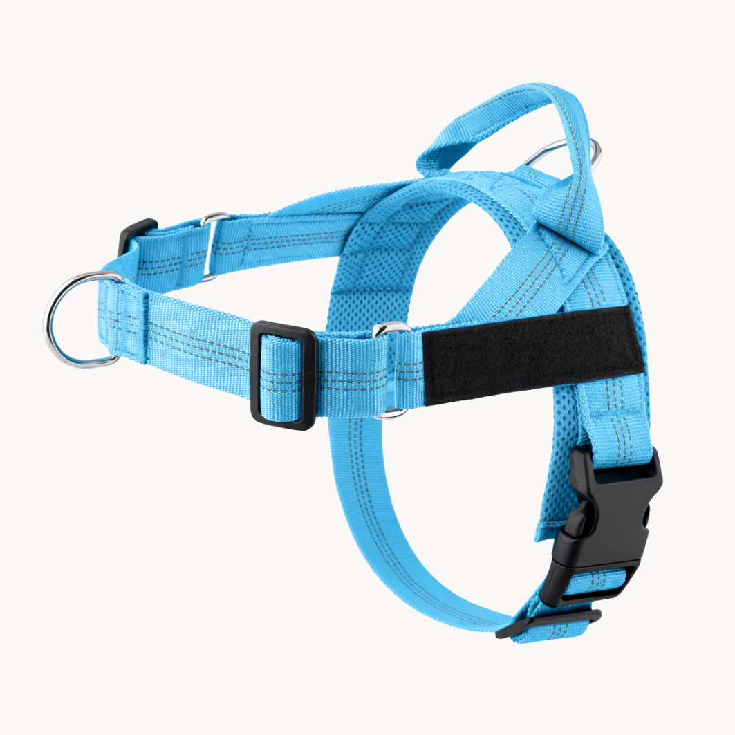 50 % DE REMISE TEMPORAIRE | NoTug™ - Harnais anti-traction