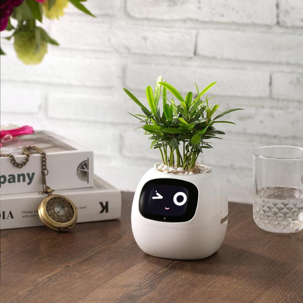50 % DE RÉDUCTION TEMPORAIRE | BloomBot™ | Pot de plante intelligent