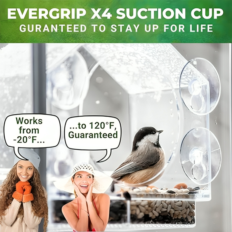 50 % DE REMISE TEMPORAIRE | PerchView™ | Transformez votre fenêtre en une réserve naturelle personnelle pour les oiseaux !