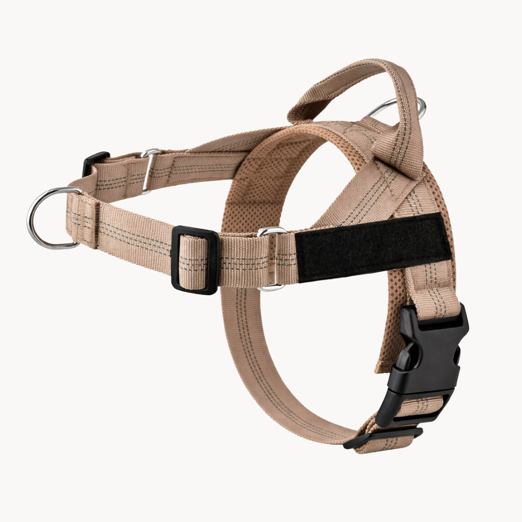 50 % DE REMISE TEMPORAIRE | NoTug™ - Harnais anti-traction