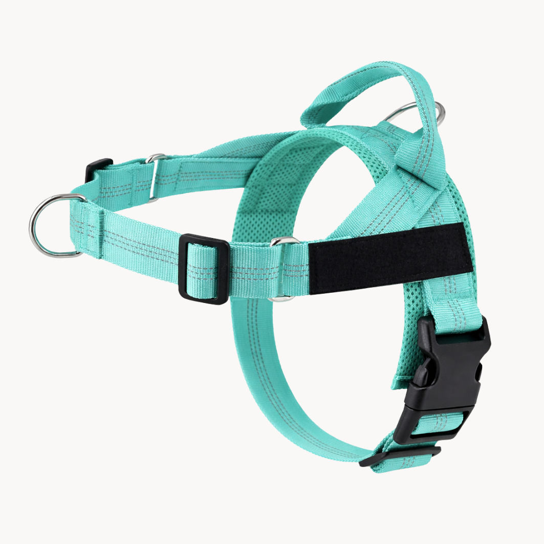 50 % DE REMISE TEMPORAIRE | NoTug™ - Harnais anti-traction