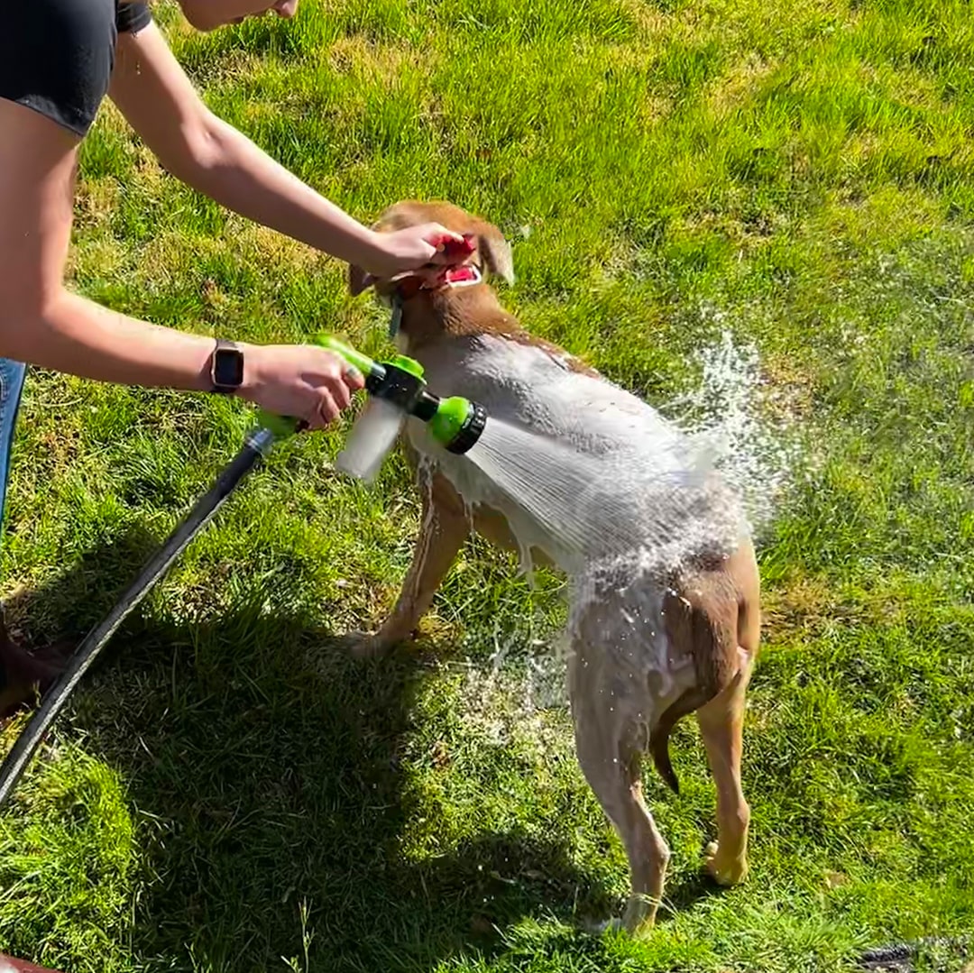 50% DE REMISE TEMPORAIRE | JetPaws™ | Pistolet de douche pour chien à haute pression