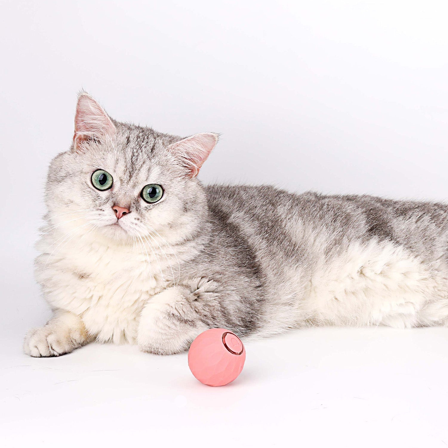 50% DE REMISE TEMPORAIRE | WhiskerWheel™ | Jouet interactif pour chats Powerball