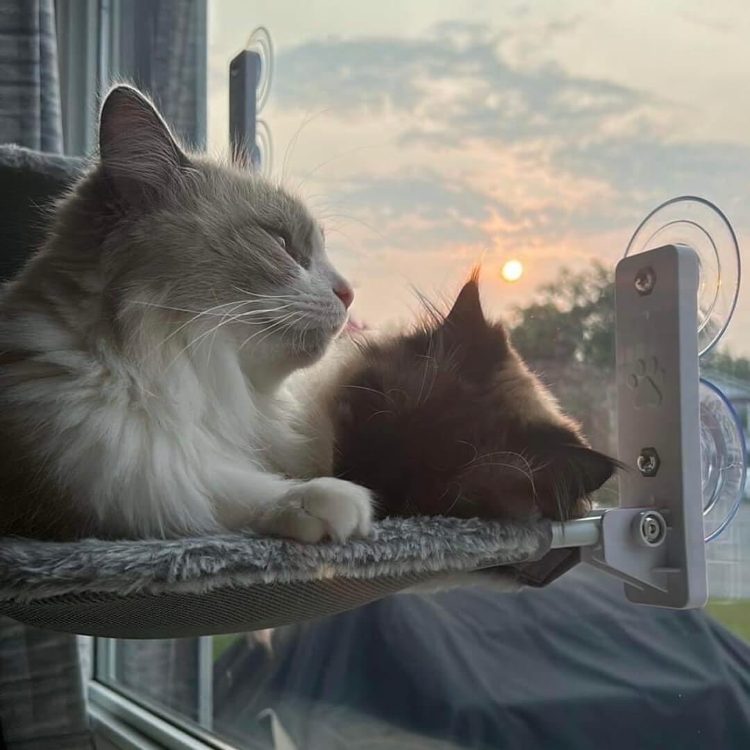 50% DE REMISE TEMPORAIRE | CatNook™ | Hamac pour chat pliable