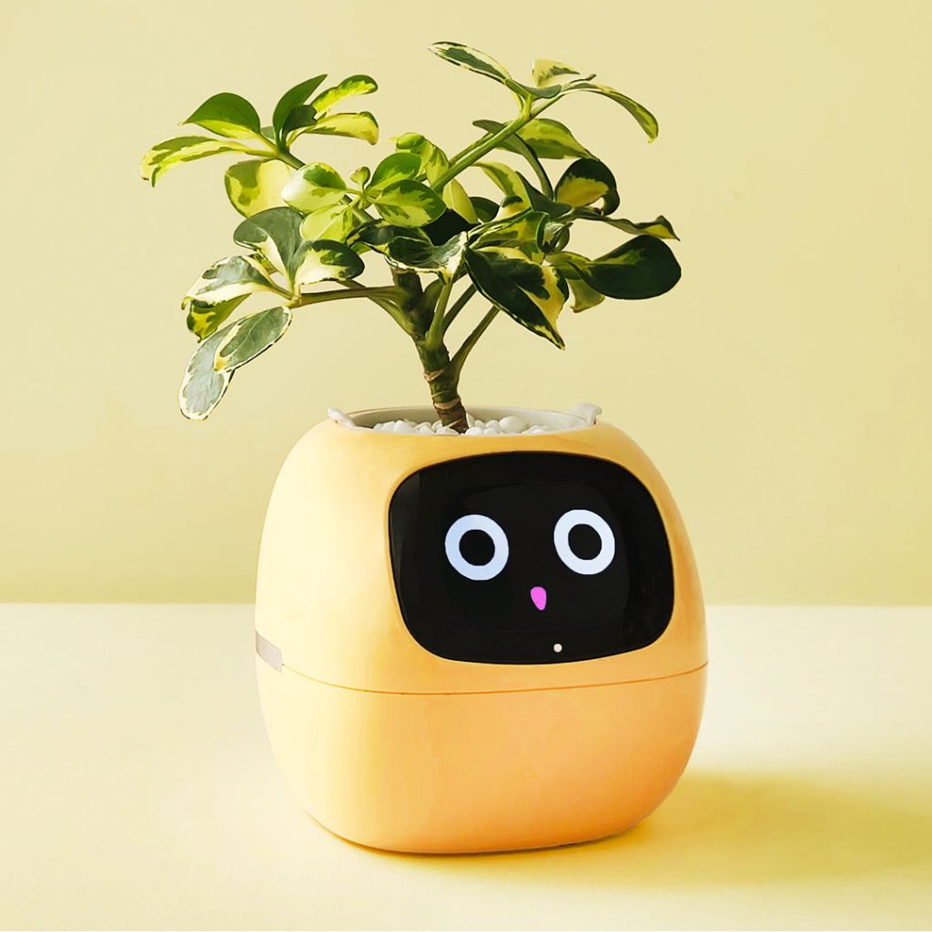 50 % DE RÉDUCTION TEMPORAIRE | BloomBot™ | Pot de plante intelligent