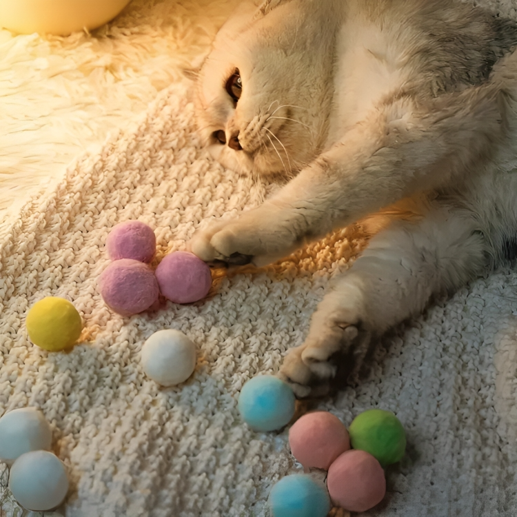 50 % DE REMISE TEMPORAIRE | WhiskerLauncher™ | Pistolet à lancer de balle pour chat