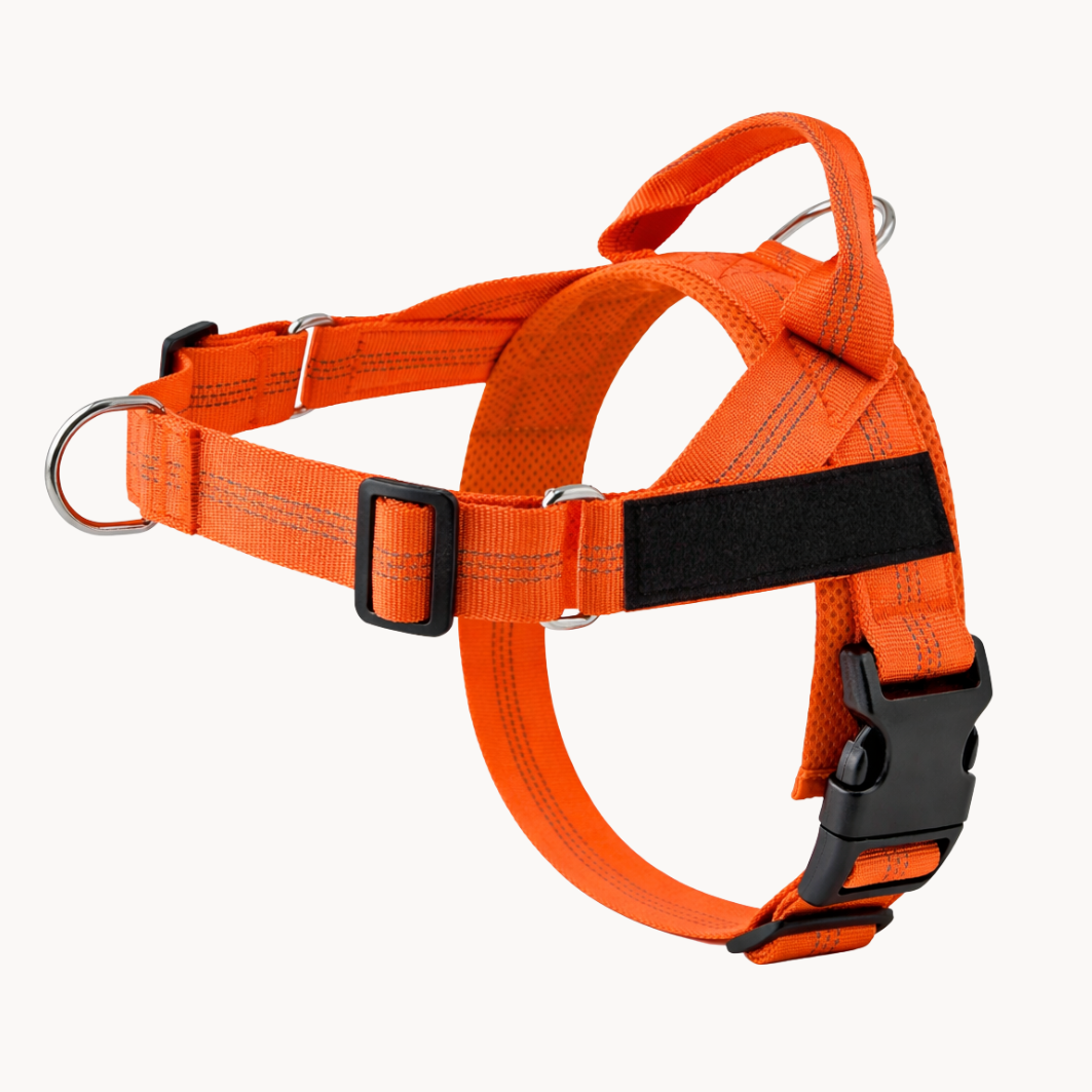 50 % DE REMISE TEMPORAIRE | NoTug™ - Harnais anti-traction