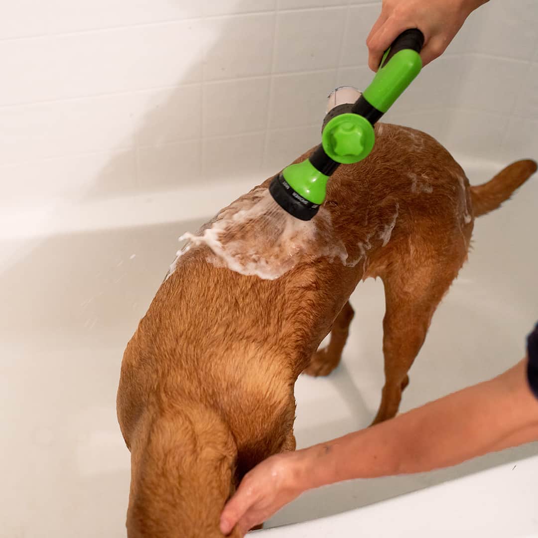50% DE REMISE TEMPORAIRE | JetPaws™ | Pistolet de douche pour chien à haute pression