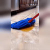 dustsweep™ · photo du produit