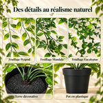Photo du produit · Version française
