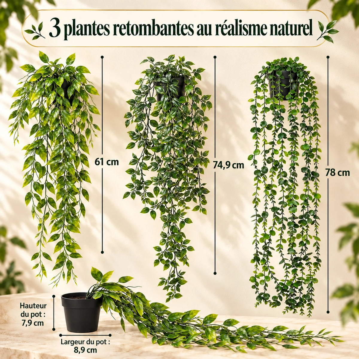 Photo du produit · Version française