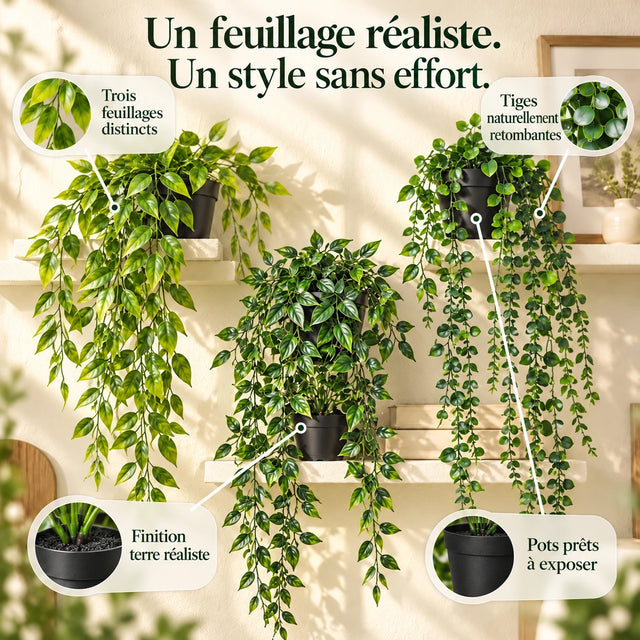 Photo du produit · Version française