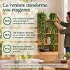 greendrape · Version française