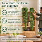 greendrape · Version française