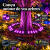 trunkglow · galerie en français