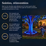 trunkglow · galerie en français