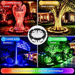 trunkglow · galerie en français