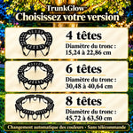 trunkglow · galerie en français