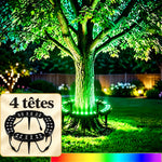 trunkglow · galerie en français