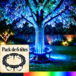 trunkglow · galerie en français